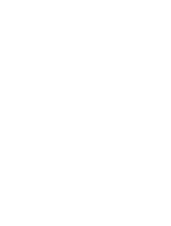 Pasini Leisure